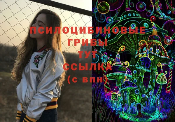 мдма Пролетарск